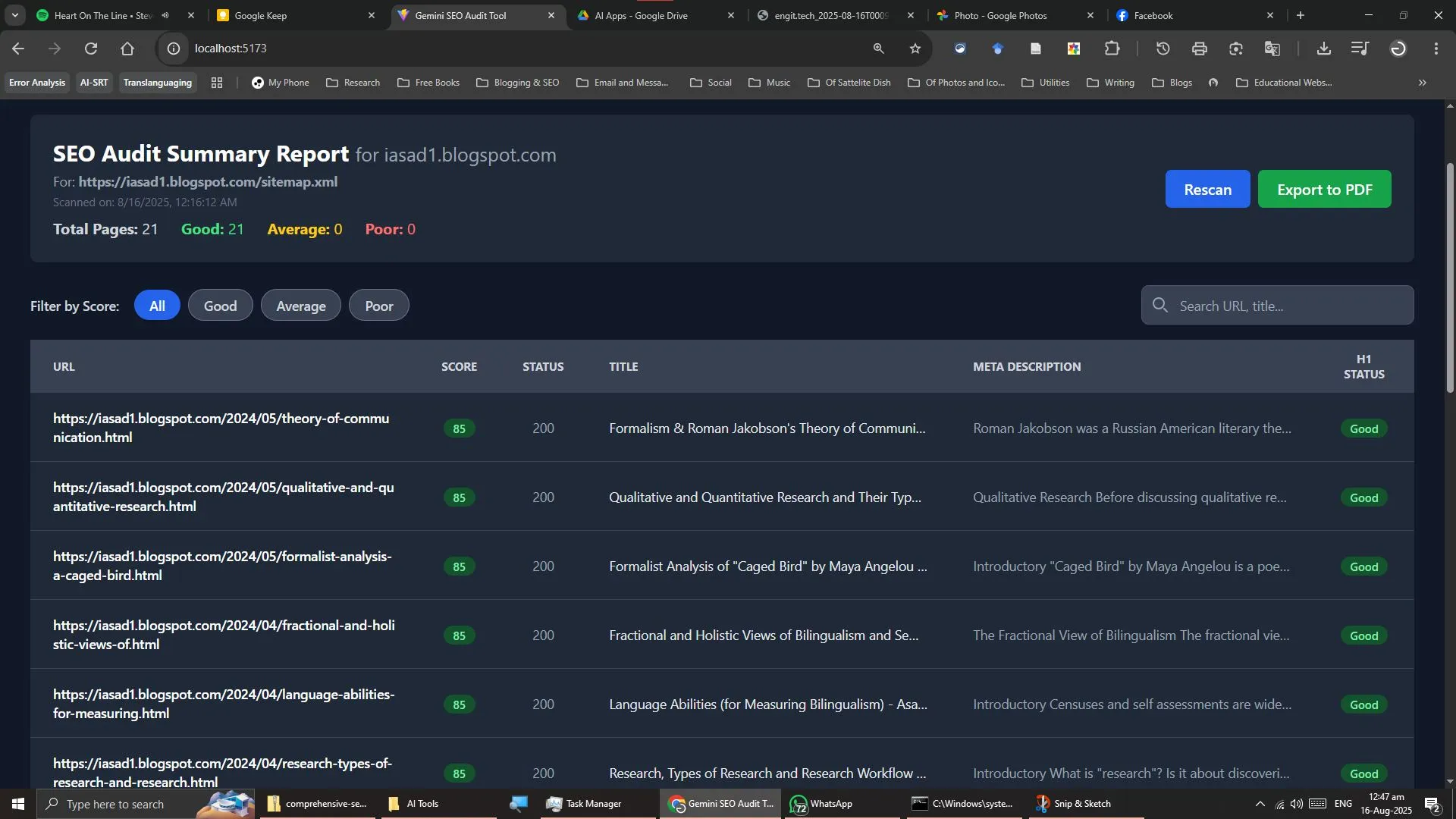 SEO Audit Tool - Slide 3