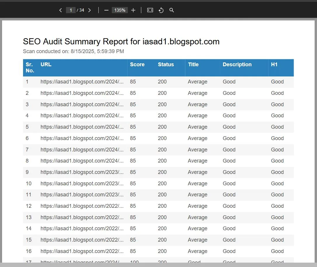 SEO Audit Tool - Slide 4
